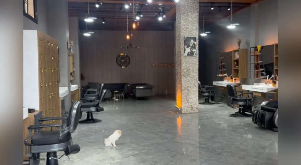 İzmir Karabağlar SALOON FZ | Erkek Kuaförü | Randevu Alın